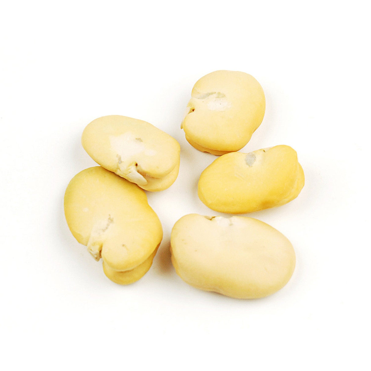 Beans, Habas, Shelf-Stable,1 - 10 POUND