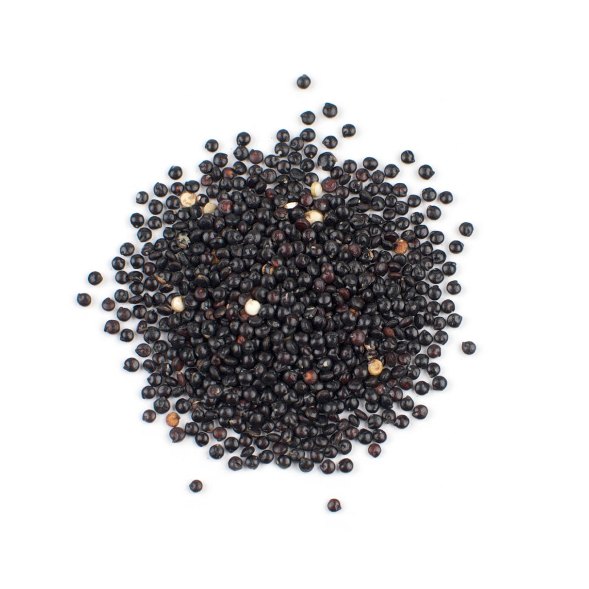 Quinoa, Black,1 - 10 POUND