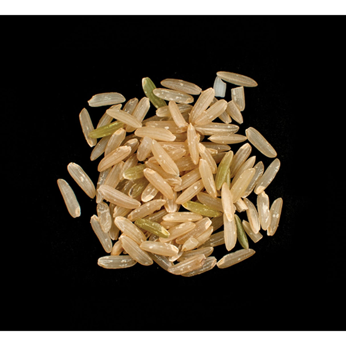 Rice, Brown, Long Grain, Pecan Style,1 - 10 POUND