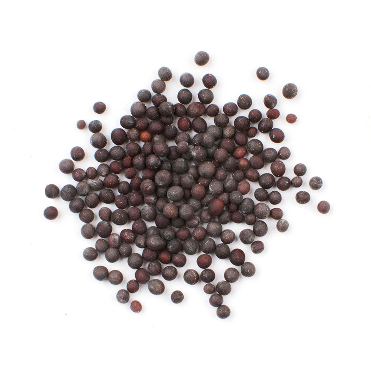 Spice, Mustard Seed, Whole, Black,1 - 20 OUNCE
