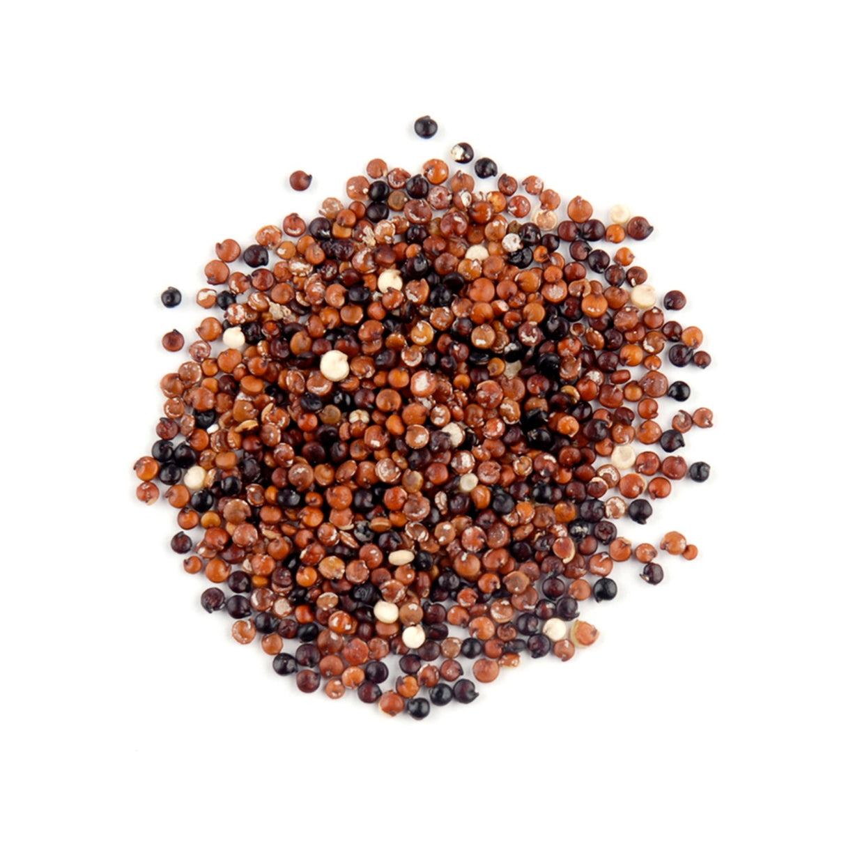 Quinoa Blend, Red & Black,1 - 10 POUND