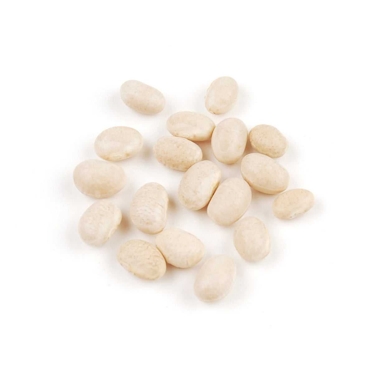 Beans, French Navy, Shelf-Stable,1 - 10 POUND