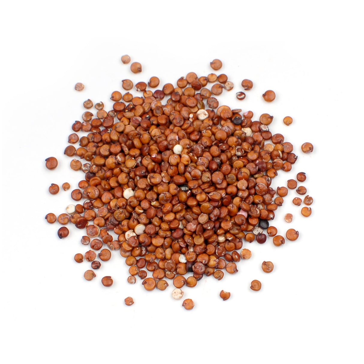 Quinoa, Red,1 - 10 POUND