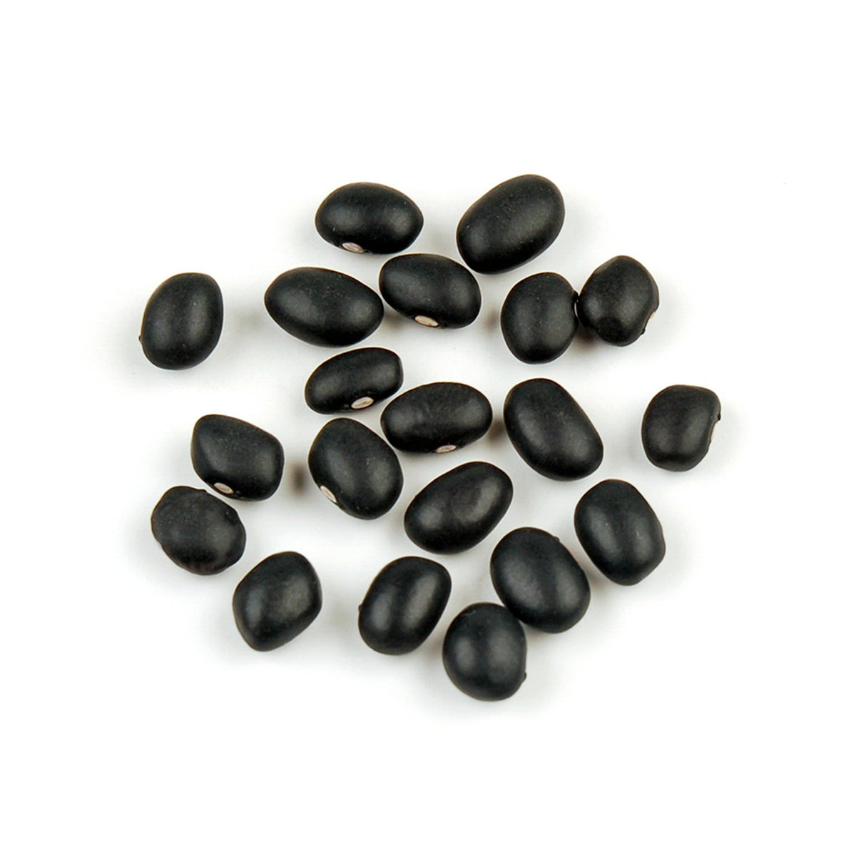 Beans, Black, Shelf-Stable,1 - 10 POUND
