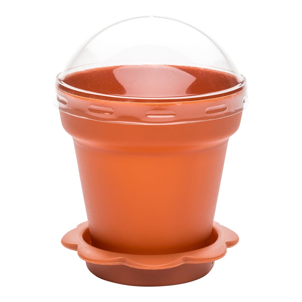 Cups, Flower Pot, 6 Ounce, Plastic, Terracotta, with Lid,1 - 100 COUNT
