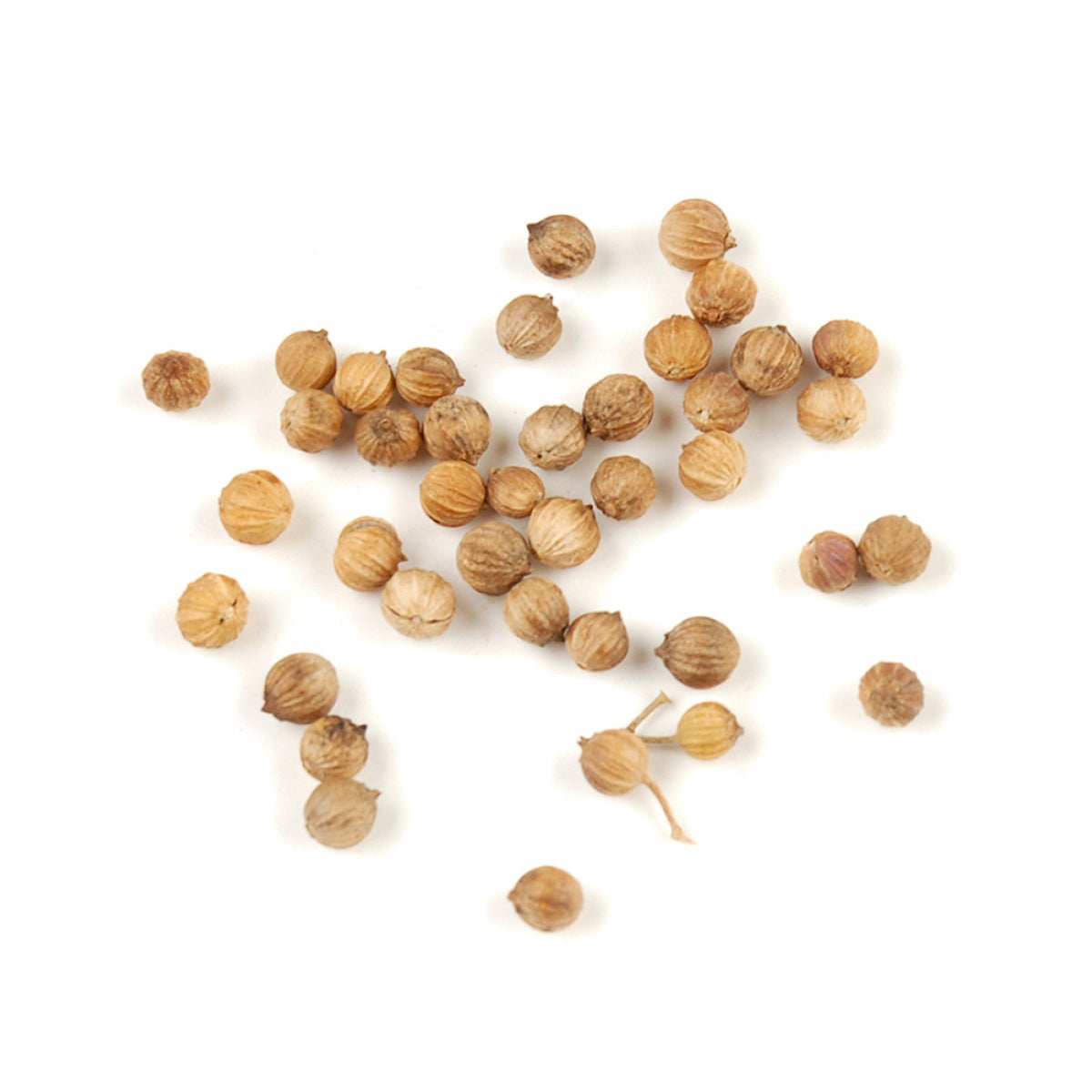 Spice, Coriander Seed, Whole, Organic,1 - 9 OUNCE