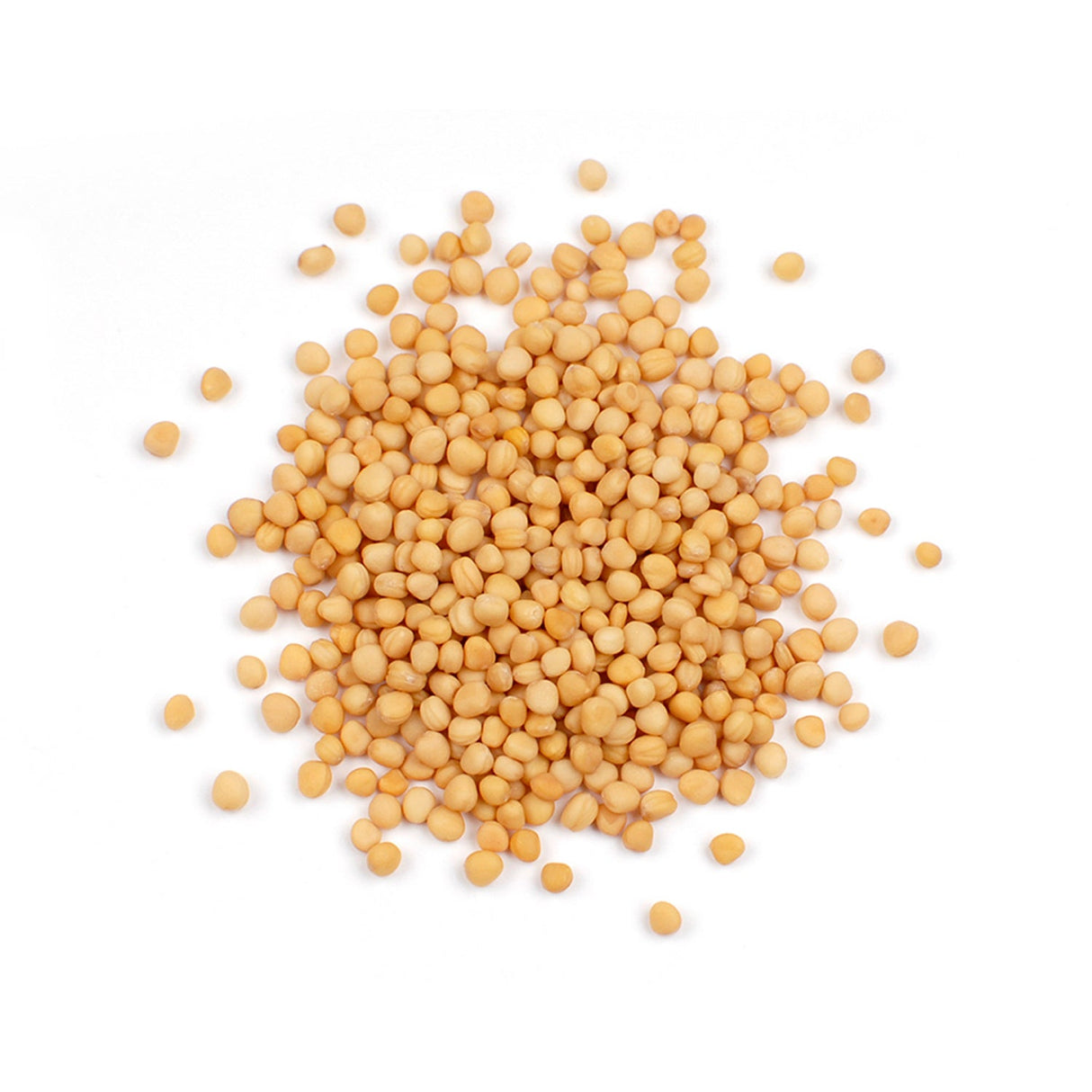 Spice, Mustard Seed, Whole, Yellow,1 - 6 POUND