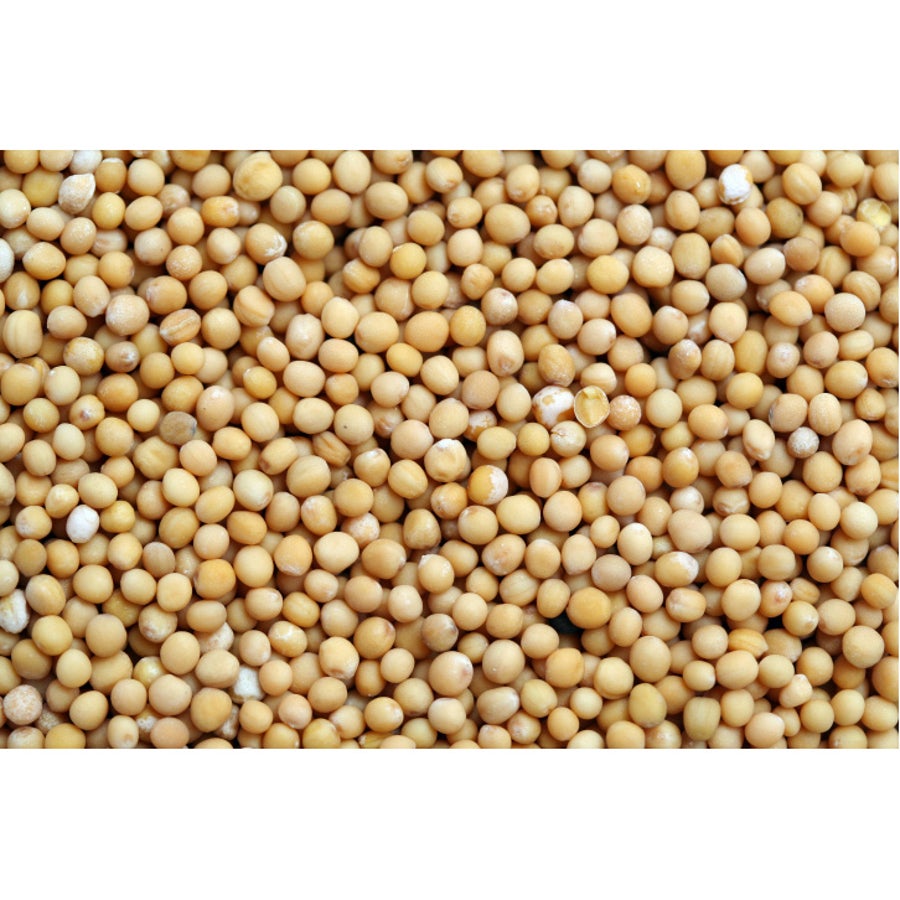 Spice, Mustard Seed, Whole, Yellow,1 - 24 OUNCE