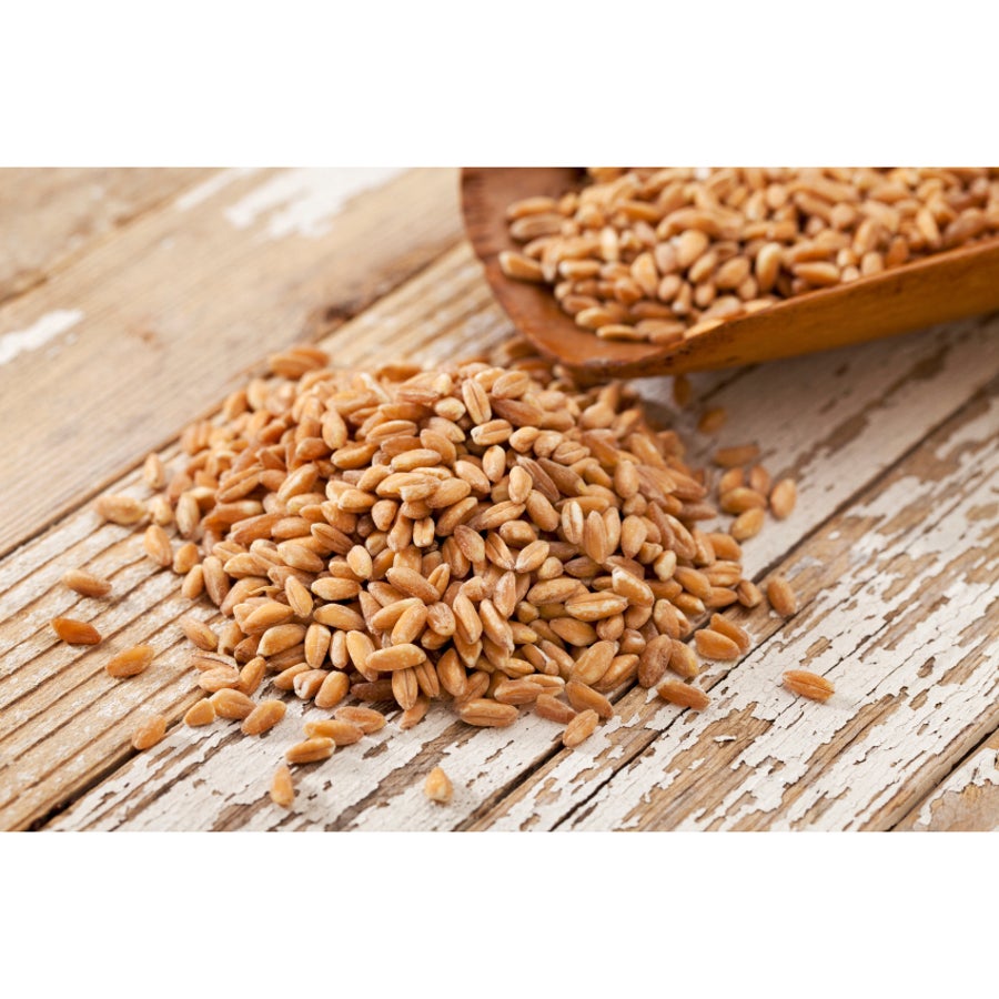 Farro, Whole,1 - 11 POUND