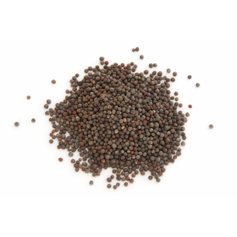Spice, Mustard Seed, Whole, Brown,1 - 24 OUNCE