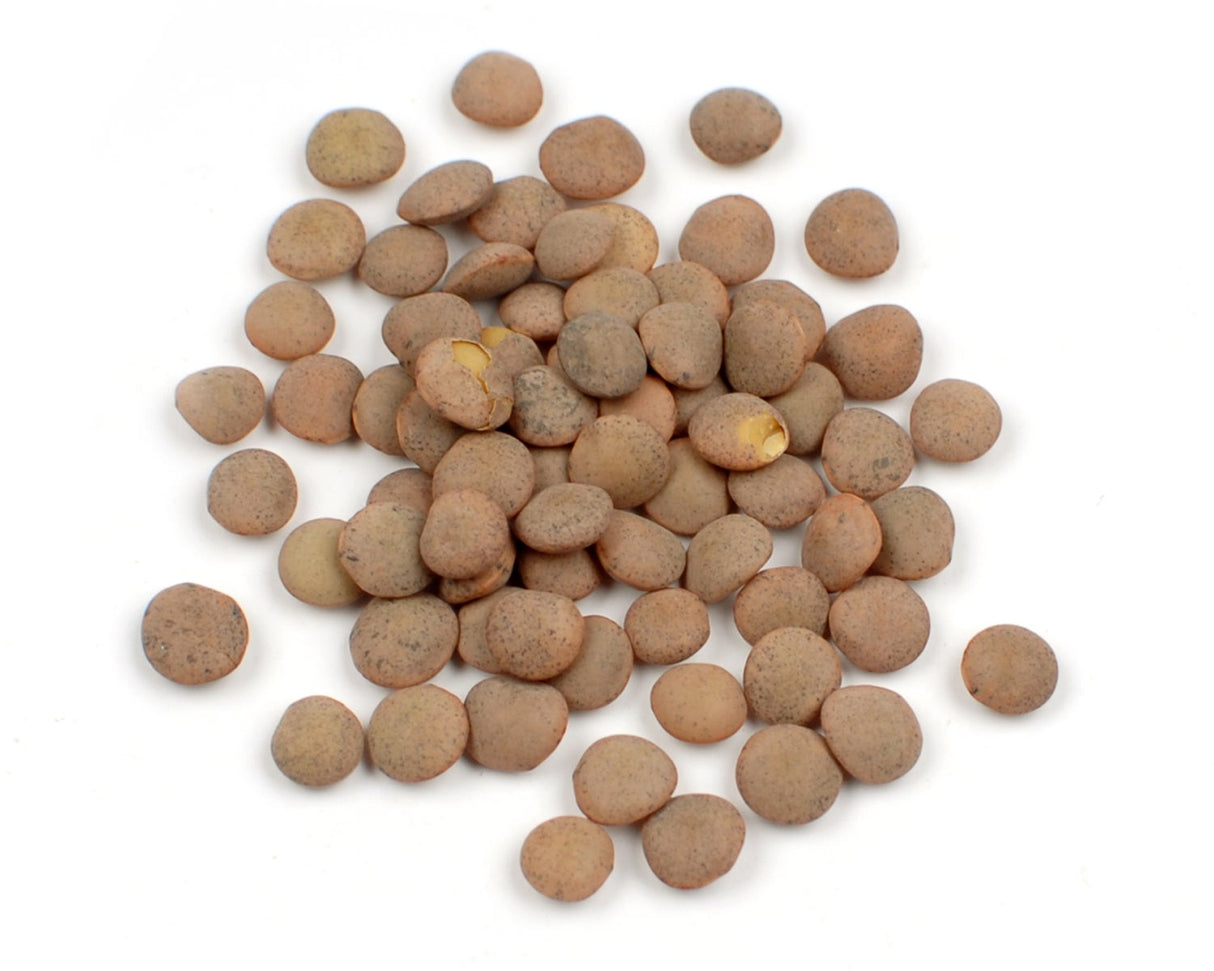 Lentils, Brown, Dry-Packed, Organic,1 - 10 POUND