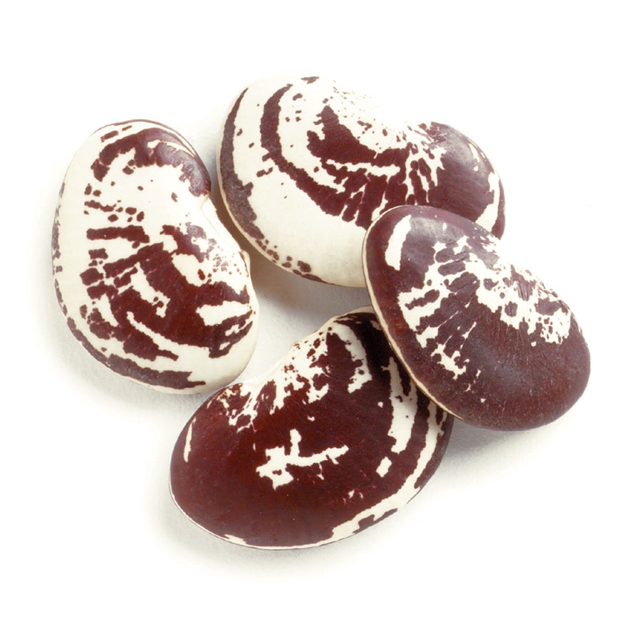 Beans, Christmas Lima, Dry,1 - 25 POUND