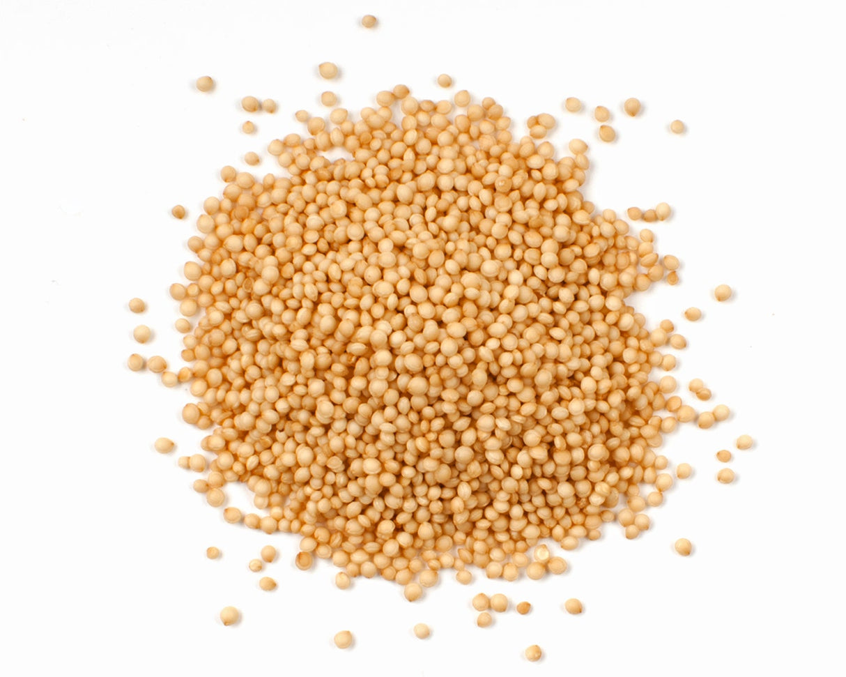 Amaranth, Organic,1 - 10 POUND