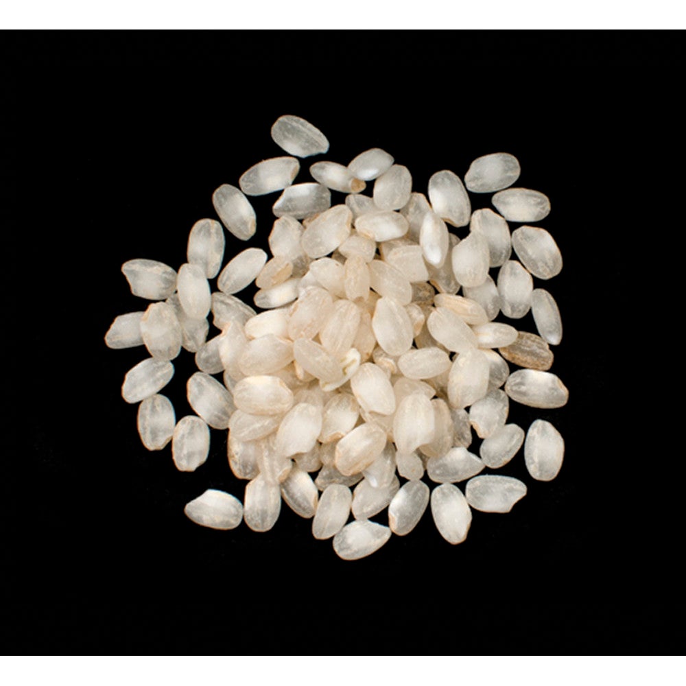 Rice, Calasparra, Short Grain,1 - 25 POUND