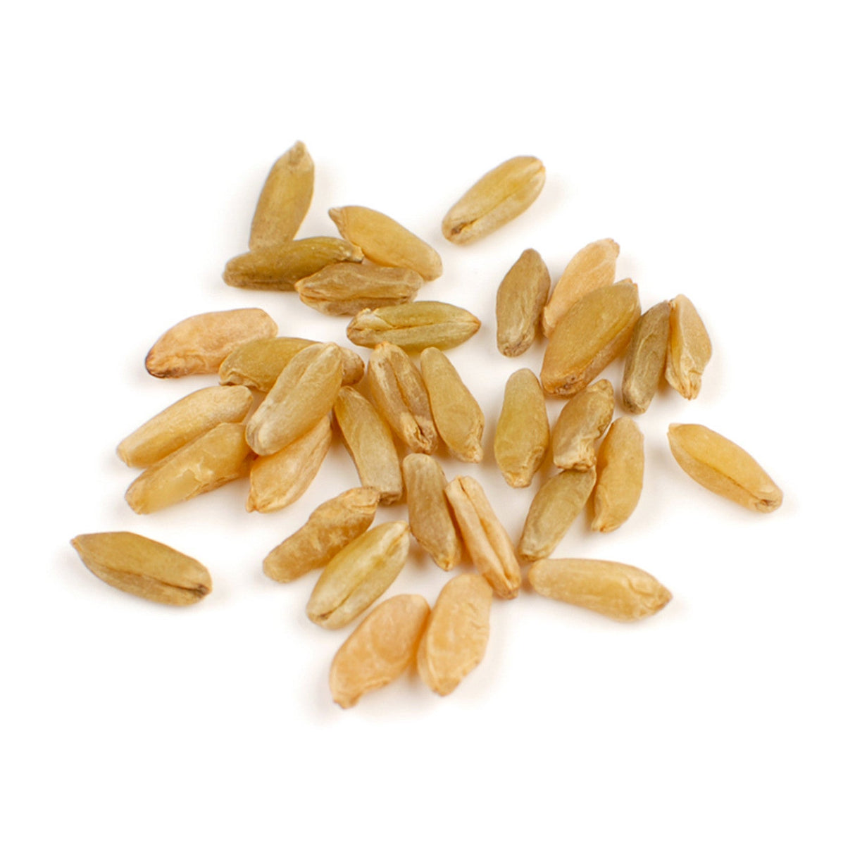 Freekeh, Whole Grain Wheat,1 - 10 POUND