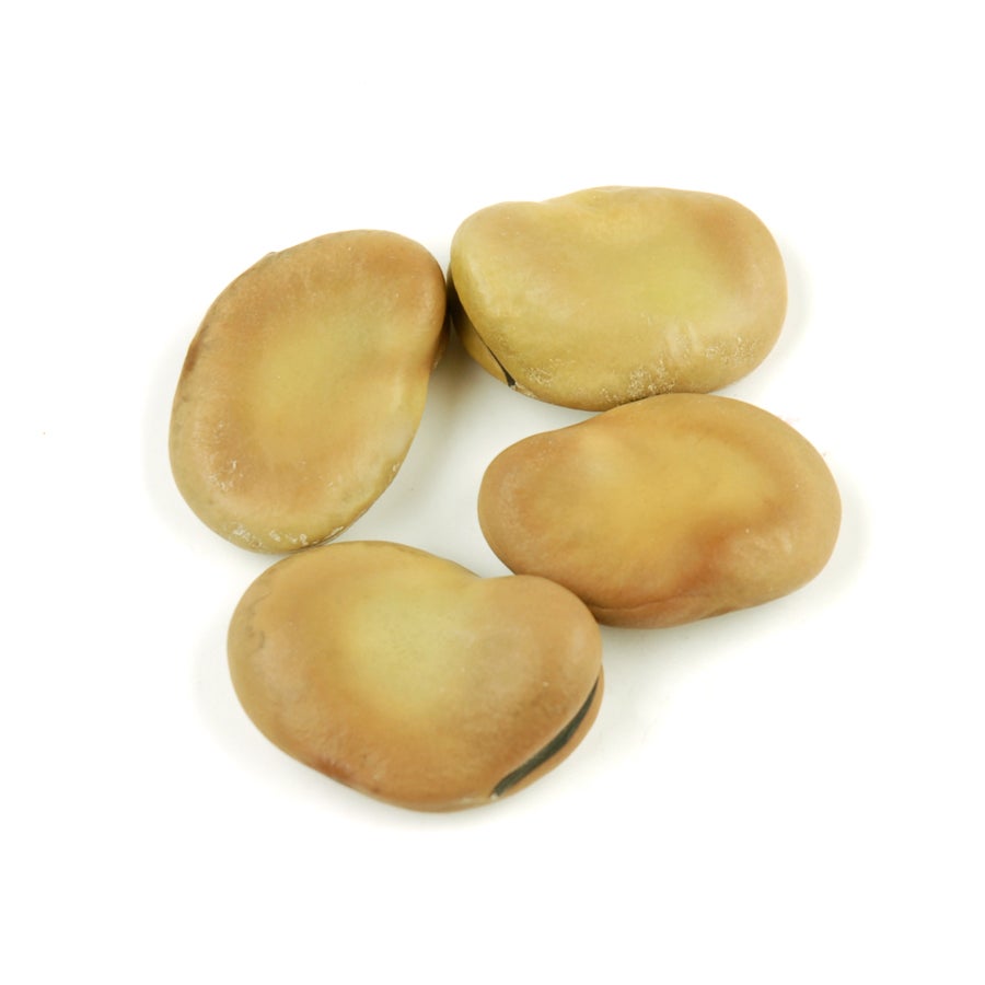 Beans, Fava, Dry-Packed, Organic,1 - 10 POUND