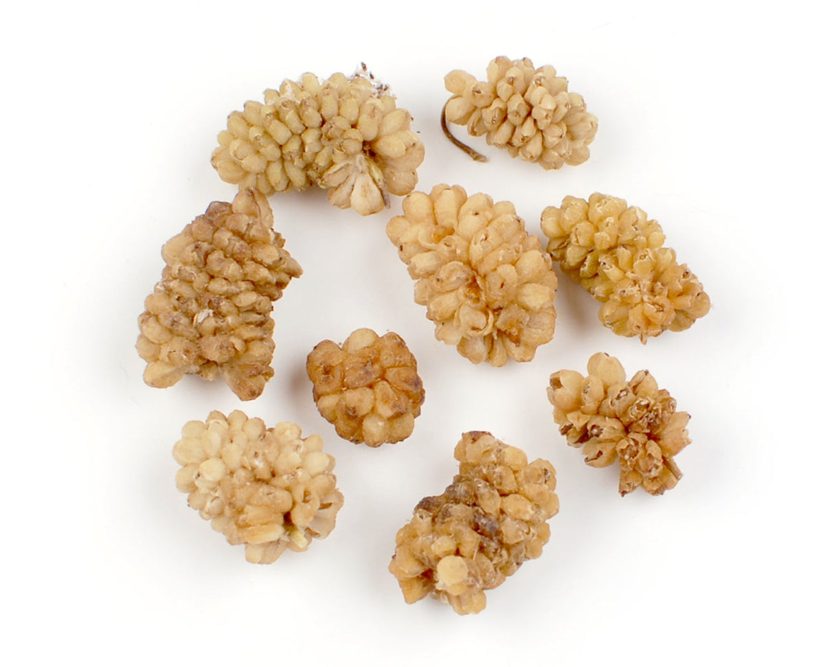 Mulberries, Dried,1 - 30 POUND