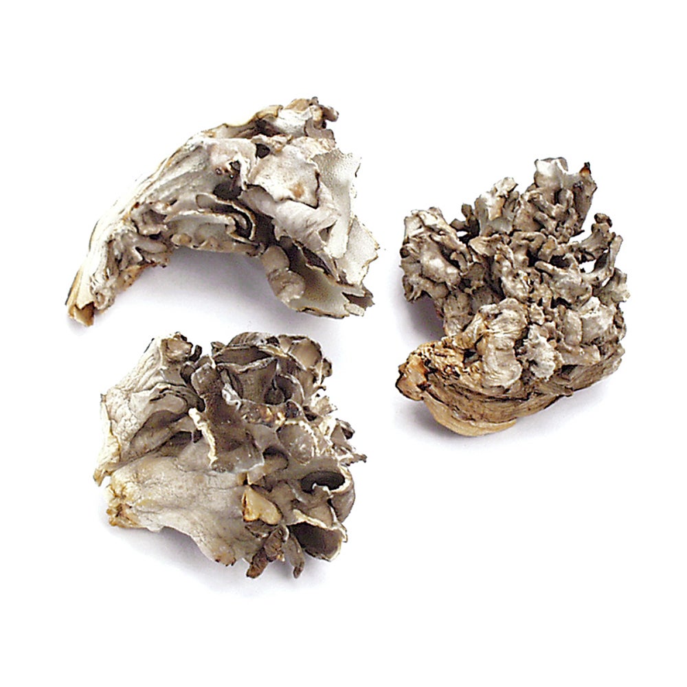 Mushrooms, Hen of the Woods, Dried,1 - 16 OUNCE