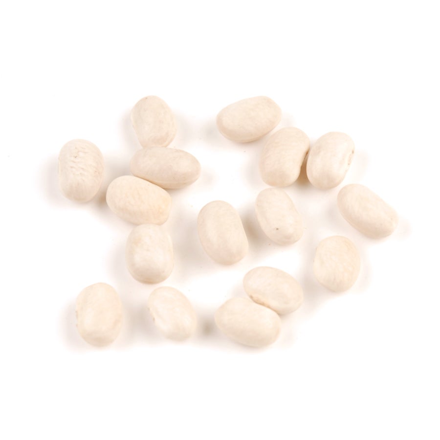 Beans, Great Northern, Dry-Packed, Organic,1 - 10 POUND