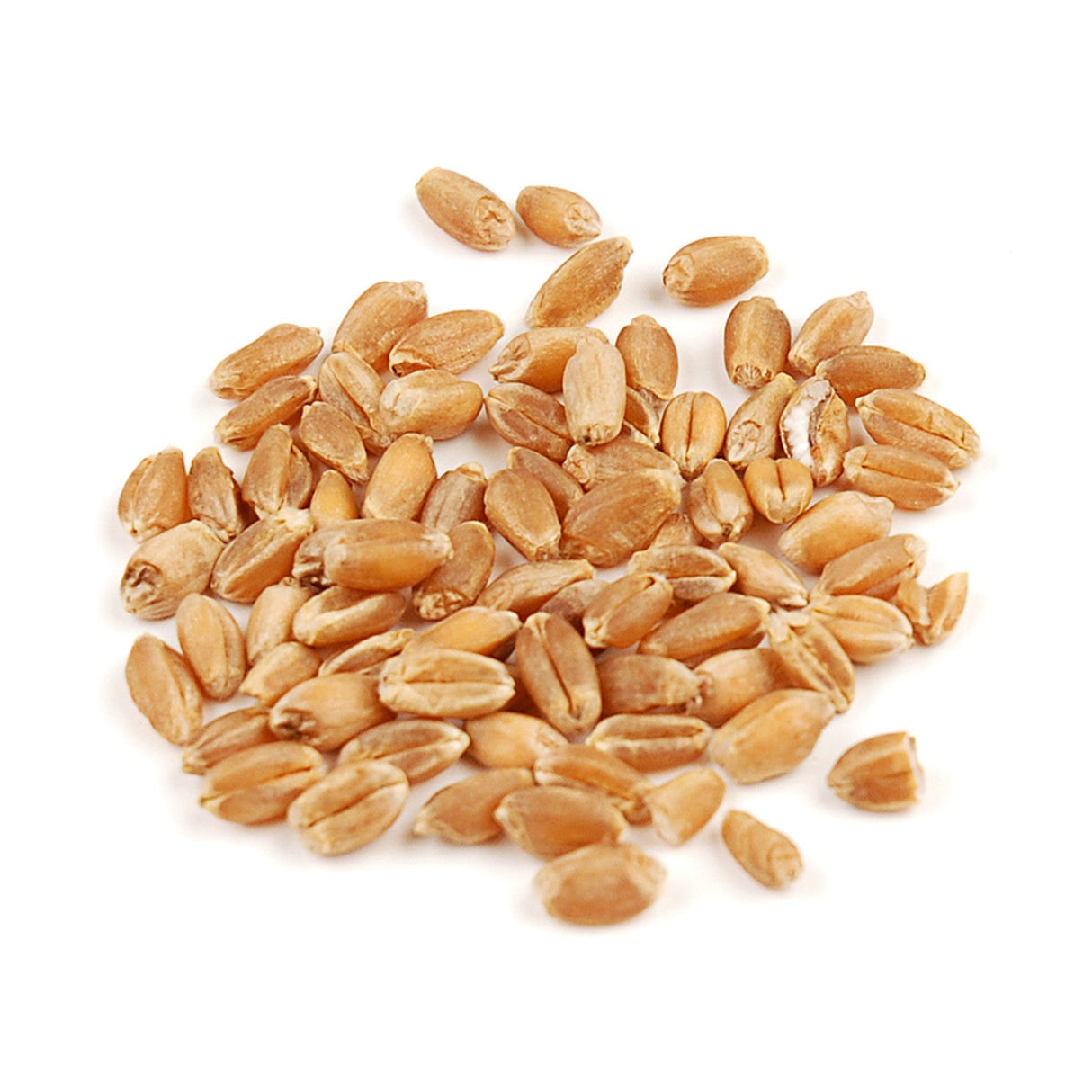 Wheat Berries, Hard Red, Whole Grain, Organic,1 - 10 POUND