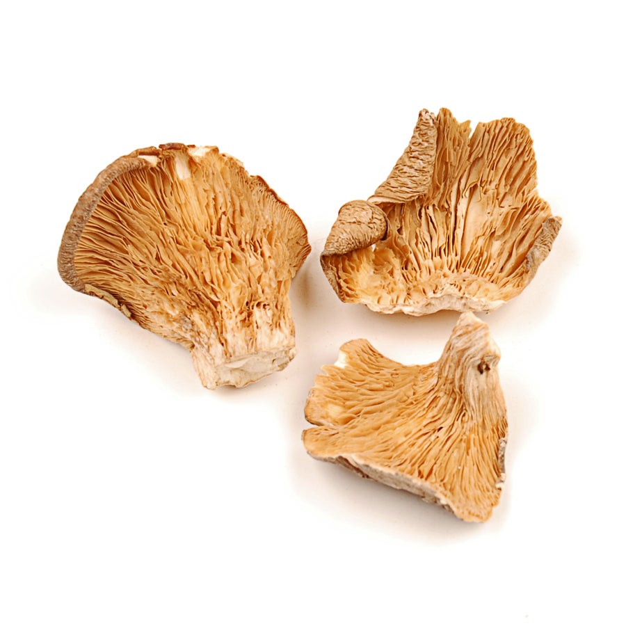 Mushrooms, Oyster, Dried, Organic,1 - 16 OUNCE