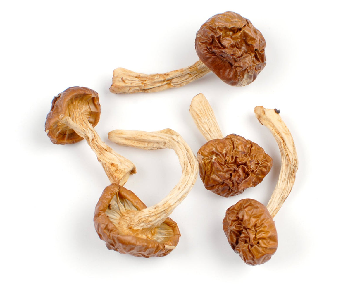 Mushrooms, Nameko, Dried,1 - 16 OUNCE