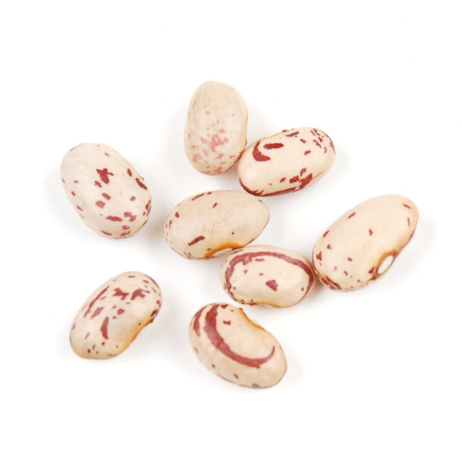 Beans, Cranberry, Organic, Dry,1 - 10 POUND