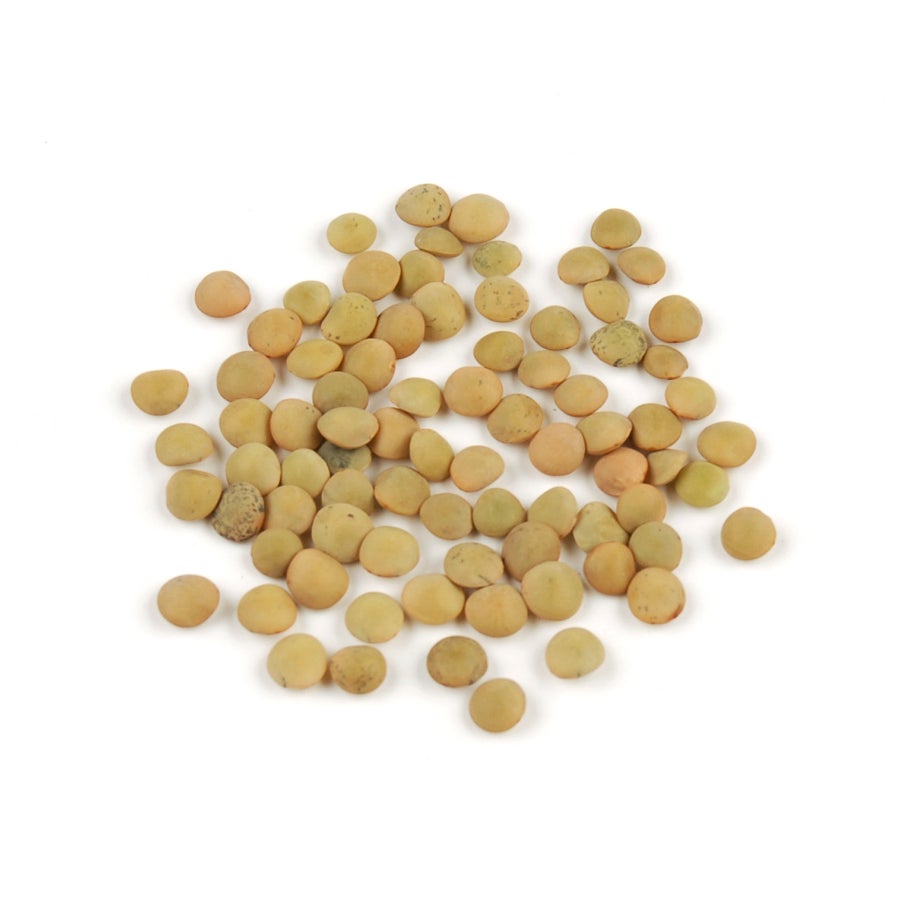 Lentils, Green, Dry-Packed,1 - 25 POUND