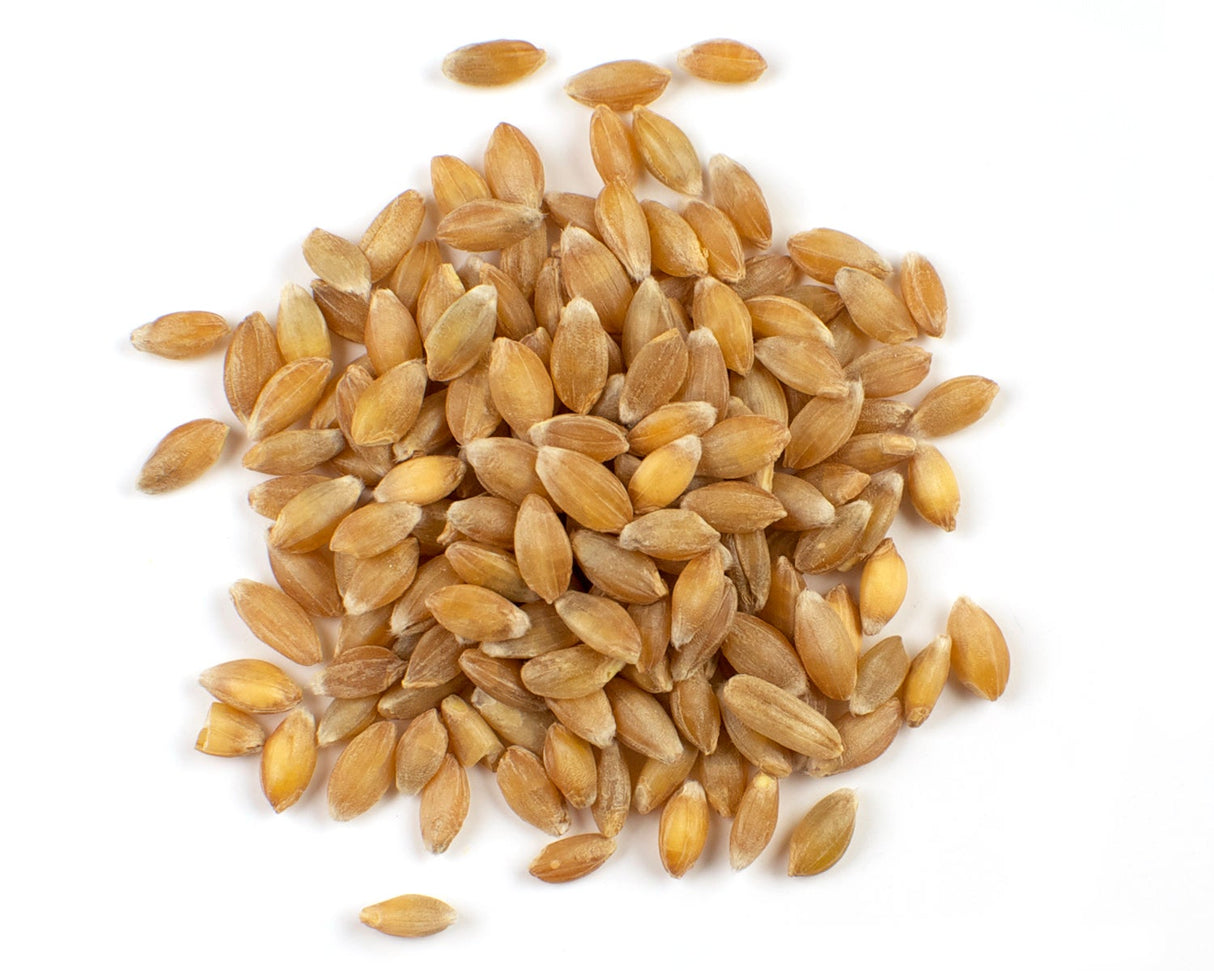 Einkorn, Whole Grain Kernel,1 - 25 POUND