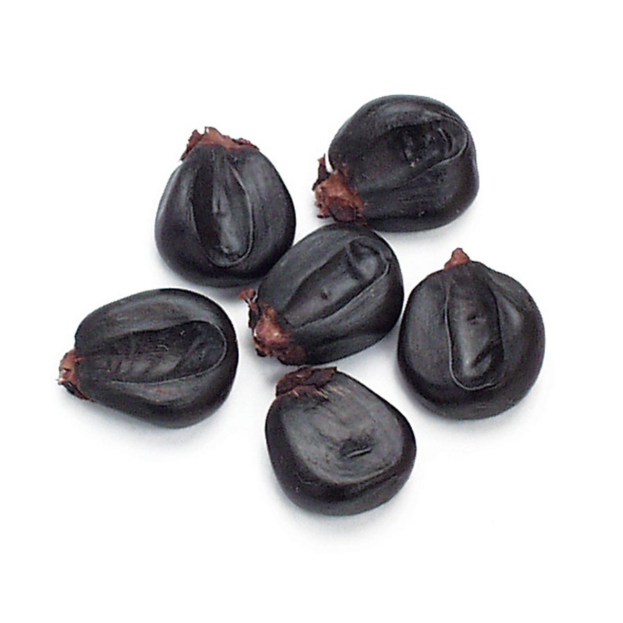 Corn, Purple, Whole Kernel, Dried,1 - 25 POUND