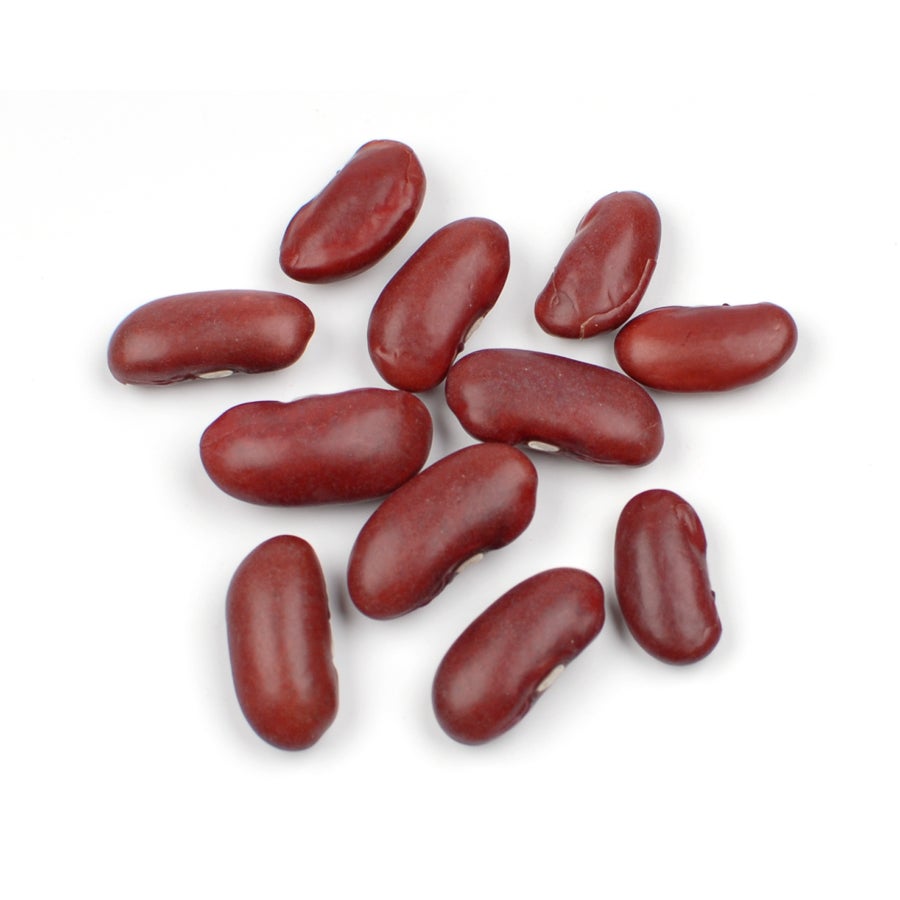 Beans, Dark Red Kidney, Organic, Dry,1 - 10 POUND