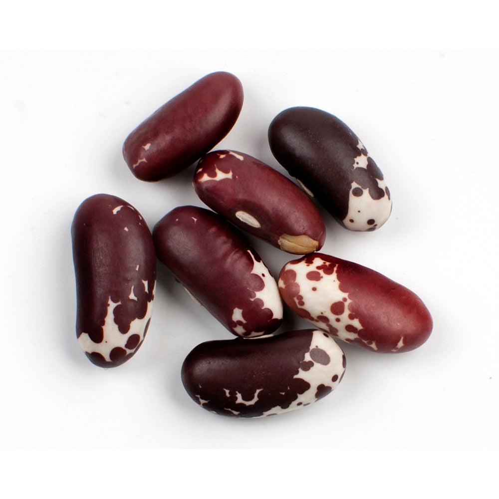 Beans, Jacob's Cattle,1 - 10 POUND