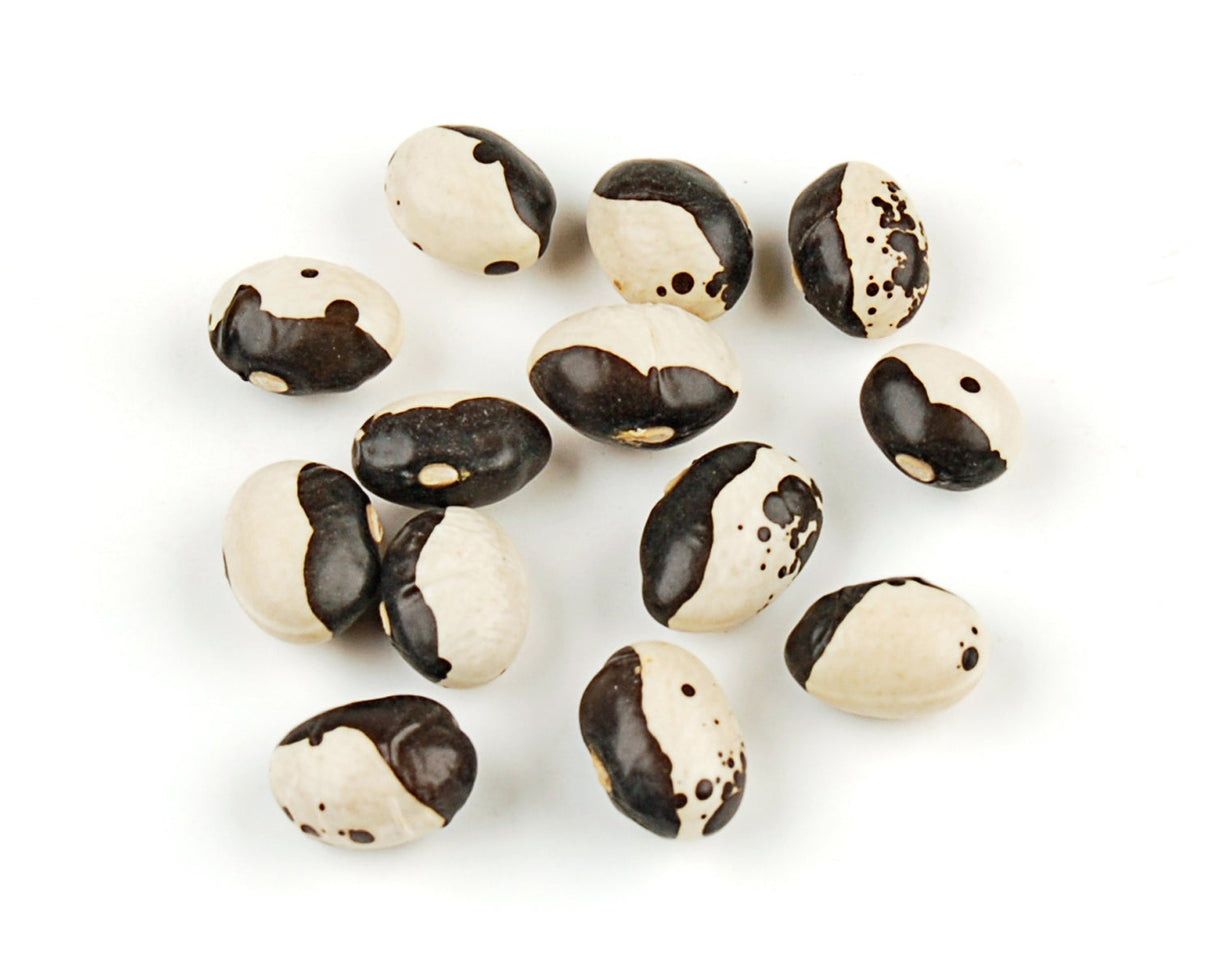 Beans, Black Calypso, Dry-Packed,1 - 25 POUND