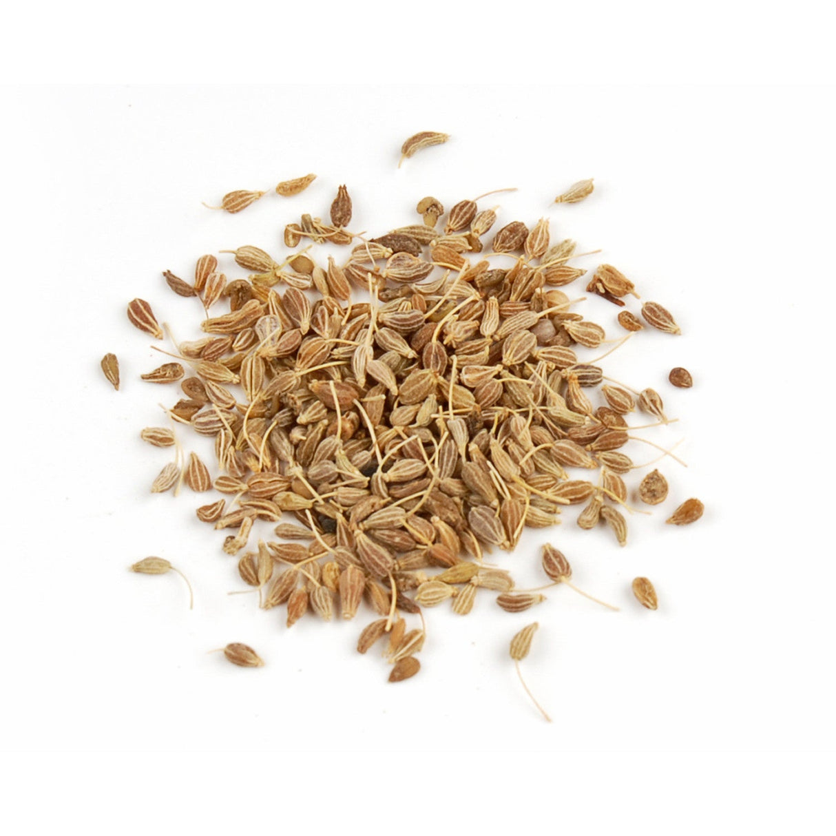 Spice, Anise Seed,6 - 15 OUNCE