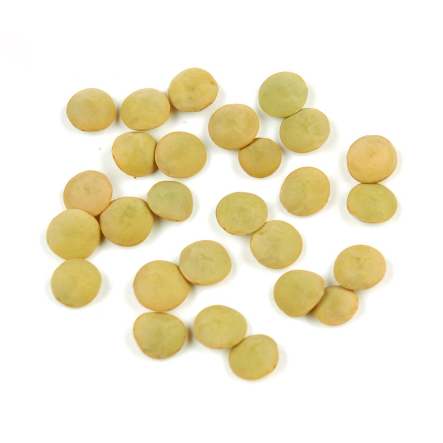 Lentils, Green, Organic, Dry,1 - 25 POUND