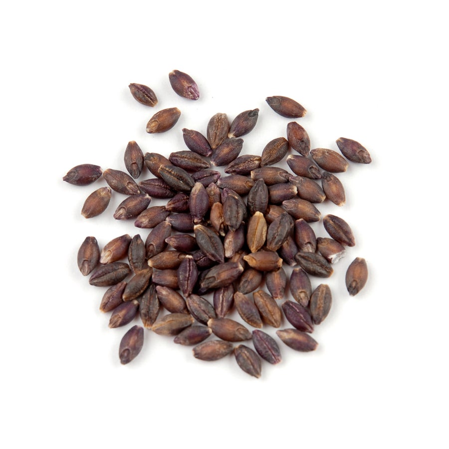 Barley, Black, Dry,1 - 25 POUND