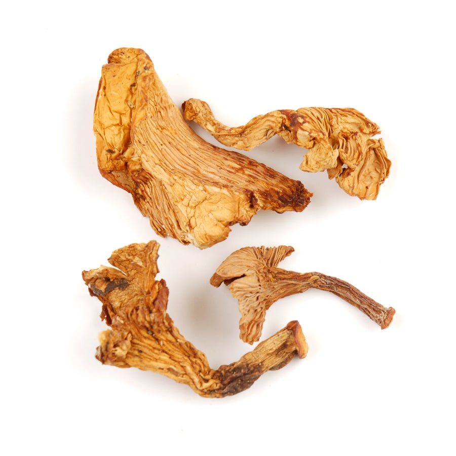 Mushrooms, Chanterelle, Dried, Organic,1 - 16 OUNCE