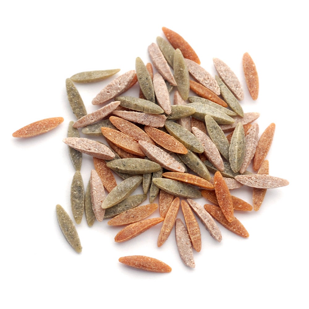 Pasta, Orzo, Autumn Harvest,1 - 10 POUND