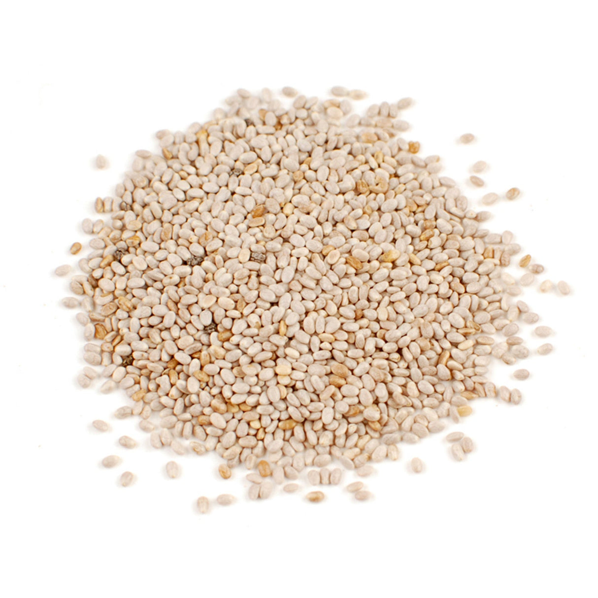 Seeds, Chia, White,1 - 10 POUND