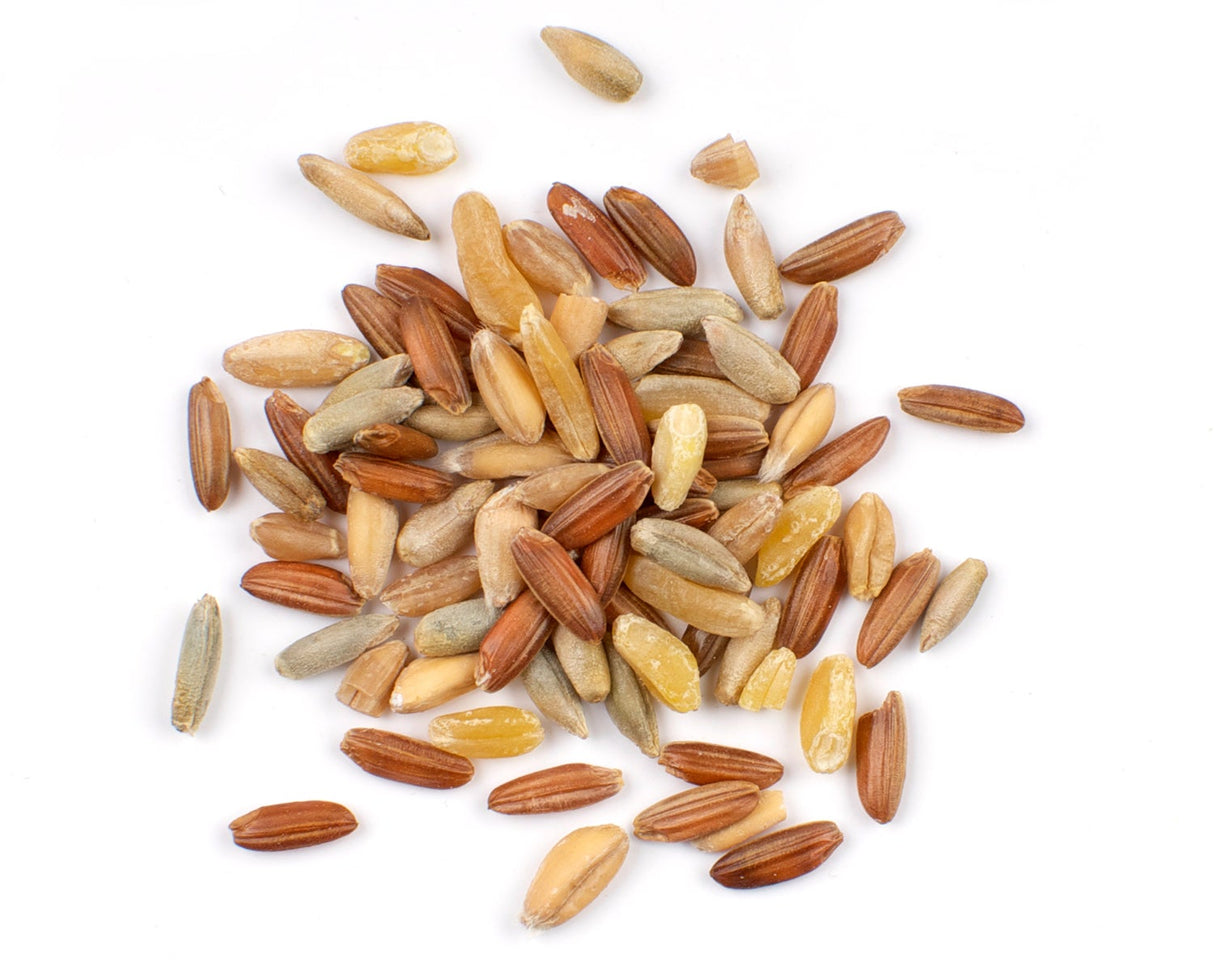 Grain Blend, Ancient, Whole, Bag in Box,1 - 10 POUND
