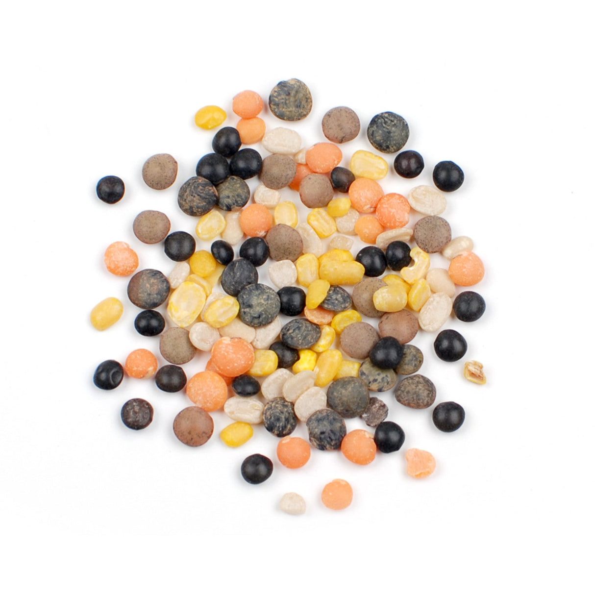 Lentil Blend, Autumn,1 - 25 POUND