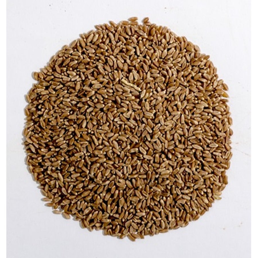 Wheat Berries,2 - 5 POUND