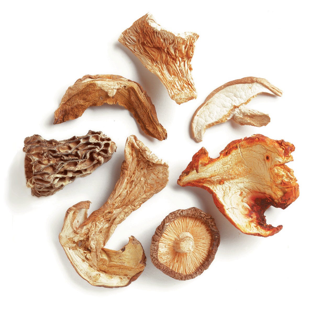 Blend, Northwoods Mushroom, Lobster/Shiitake/Porcini/Morel/Oyster/Sliced Shiitake/Bolete, Dried,1 - 16 OUNCE