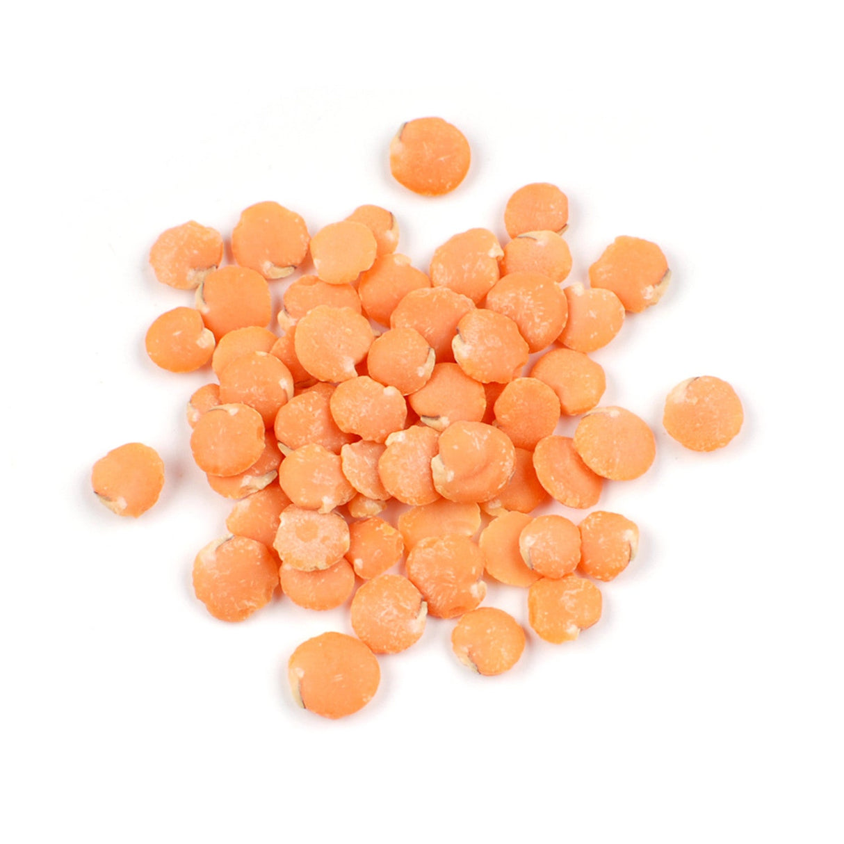 Lentils, Red Chief, Dry,1 - 25 POUND