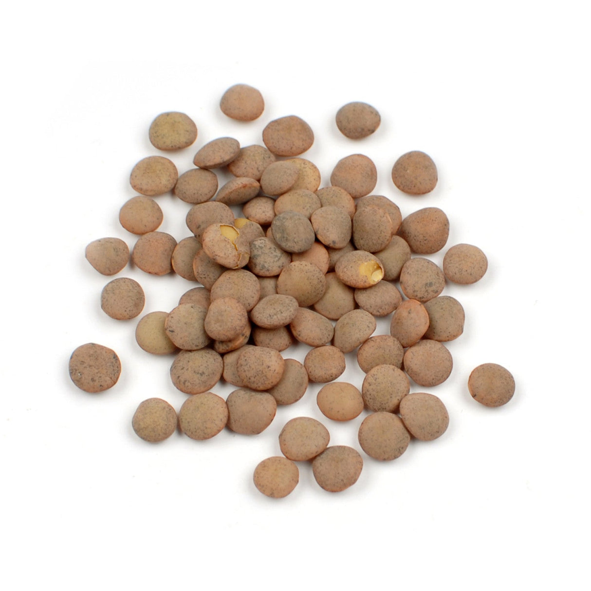 Lentils, Brown, Dry,1 - 25 POUND