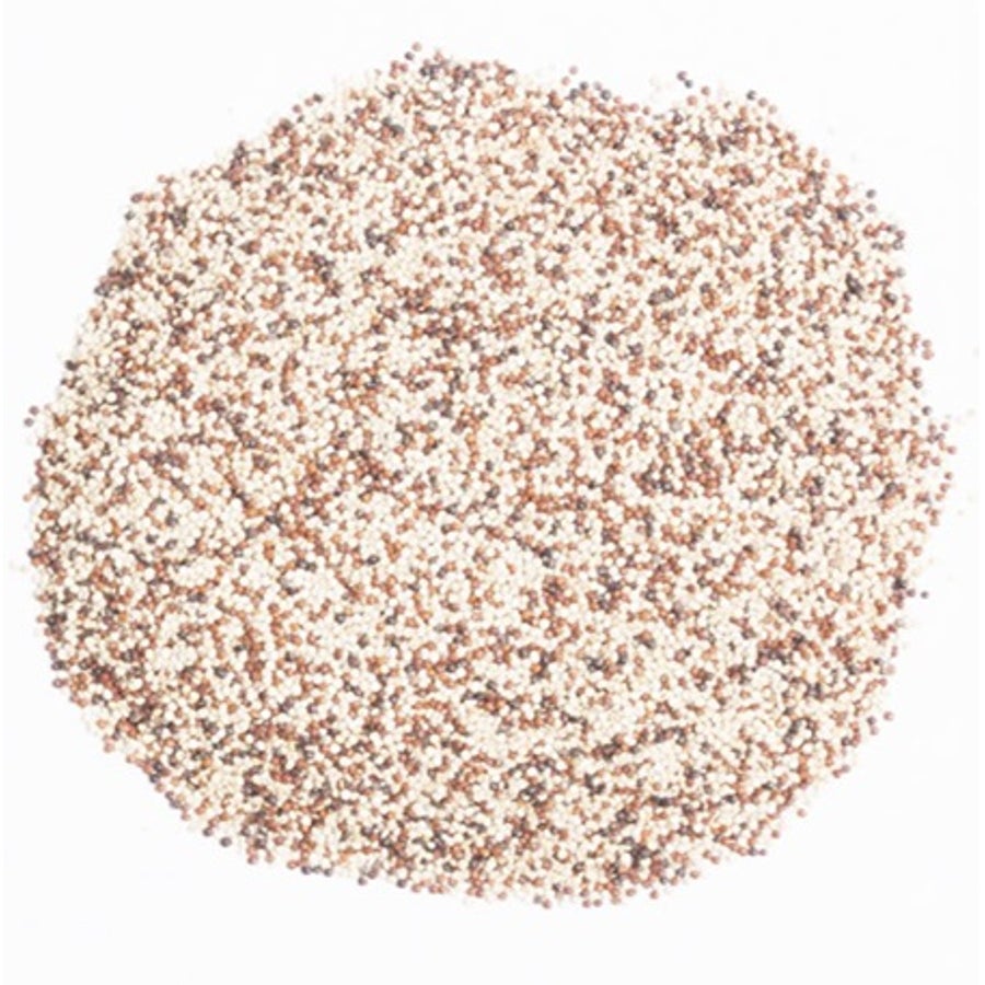 Quinoa, Tri-Color,2 - 5 POUND