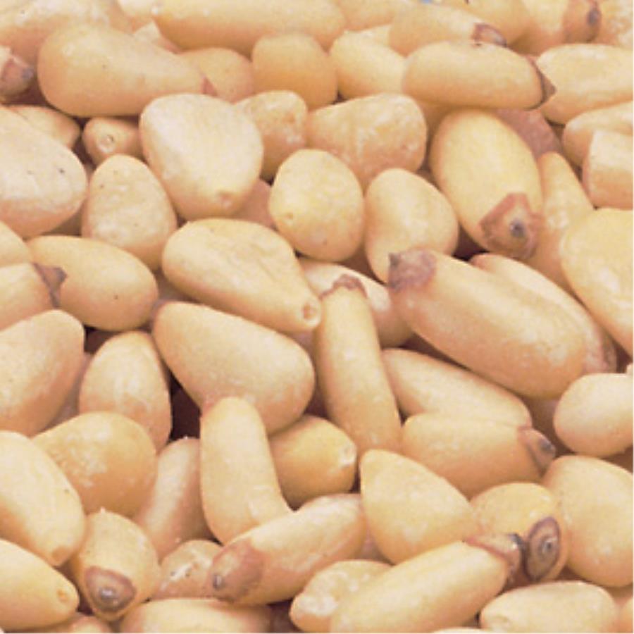 Pine Nuts, Raw,1 - 5 POUND