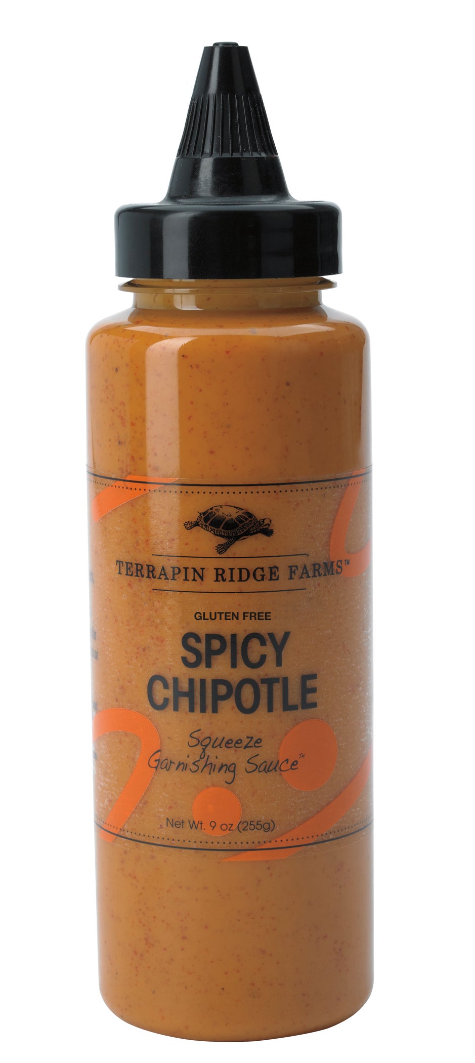 Garnishing Sauce, Spicy Chipotle, 9 Ounce, Squeeze Bottle,12 - 9 OUNCE
