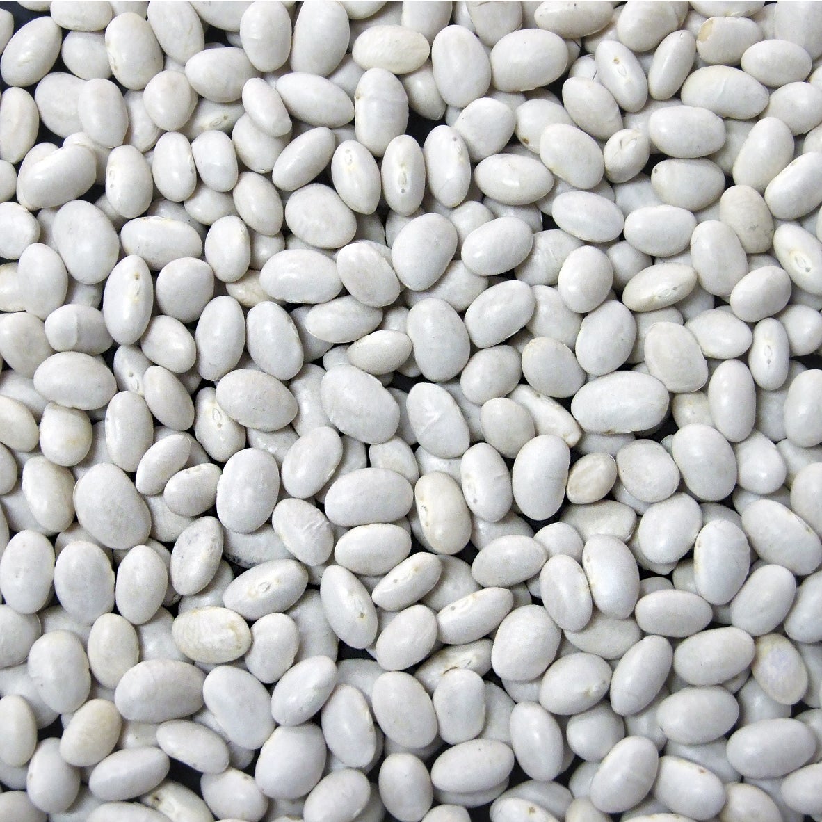 Beans, Navy, Dry-Packed,1 - 25 POUND