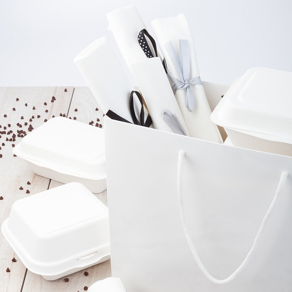 Bags, Shopping, 12.5 x 10 Inch, Paper, White, With Handle,1 - 10 COUNT